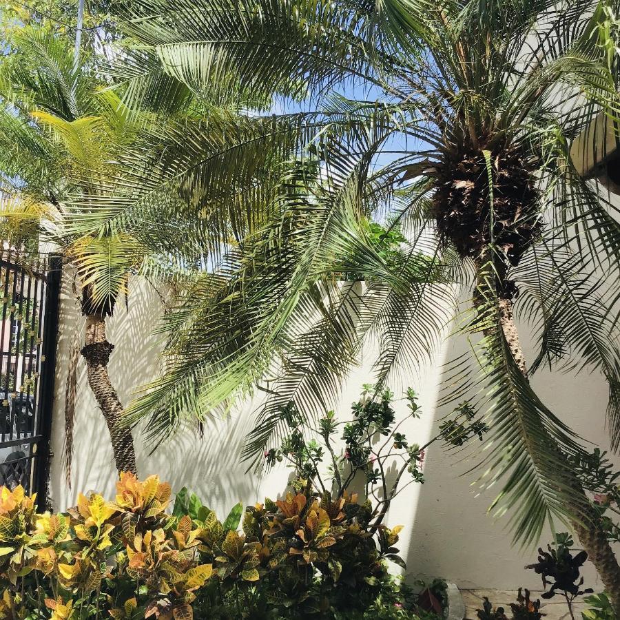 Pecarí 3* Cancún