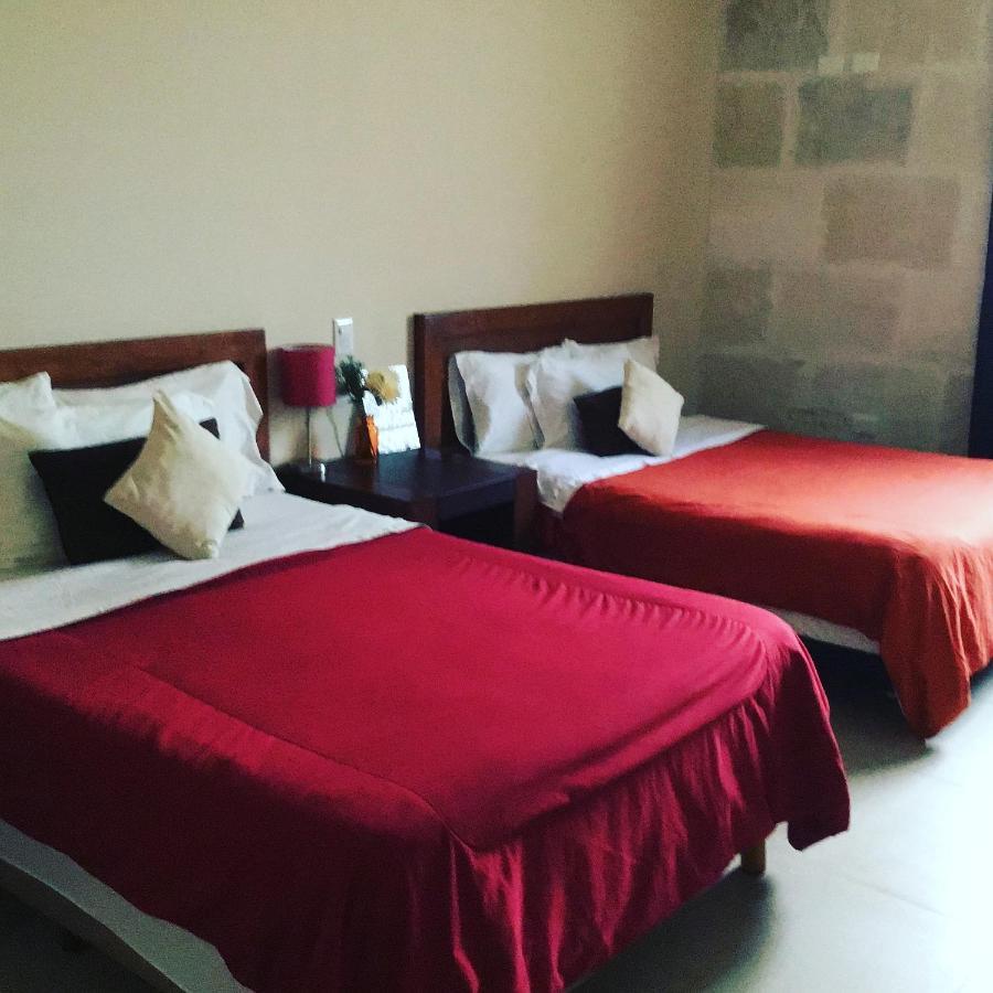 Pecarí Cancún