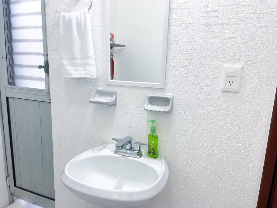 Apartamento Flamingo By Andiani Travel Cancún