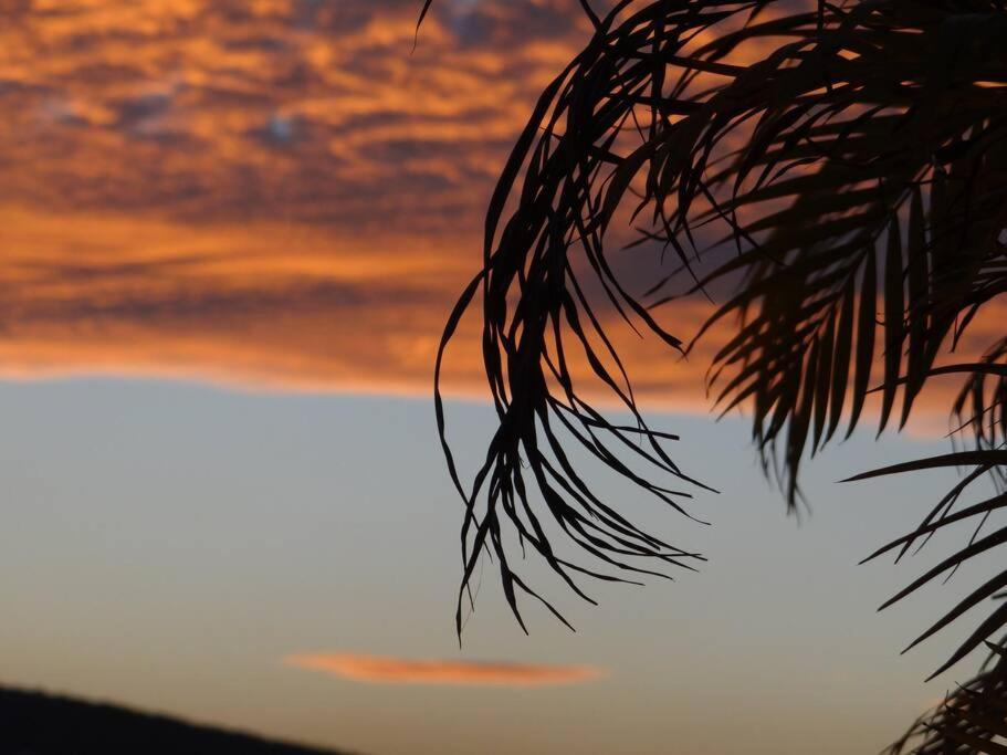 Apartamento Amara Beachfront *