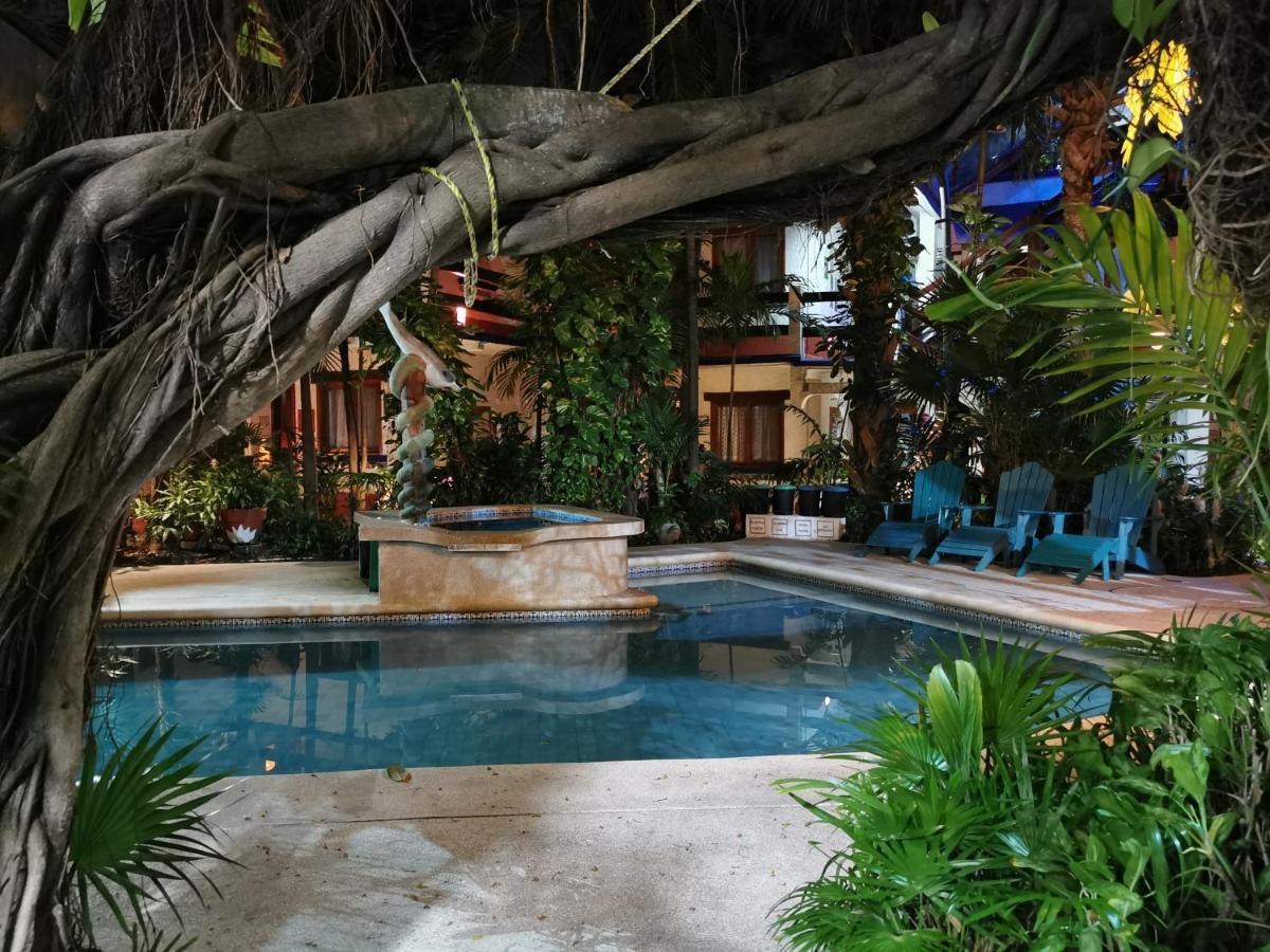 Eco-hotel El Rey Del Caribe Cancun