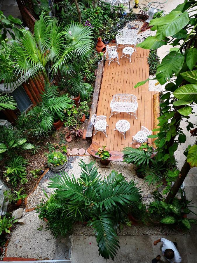 Eco-hotel El Rey Del Caribe Hotel 3*