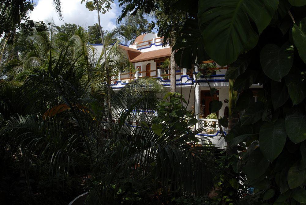 Hotel Eco-hotel El Rey Del Caribe 3*