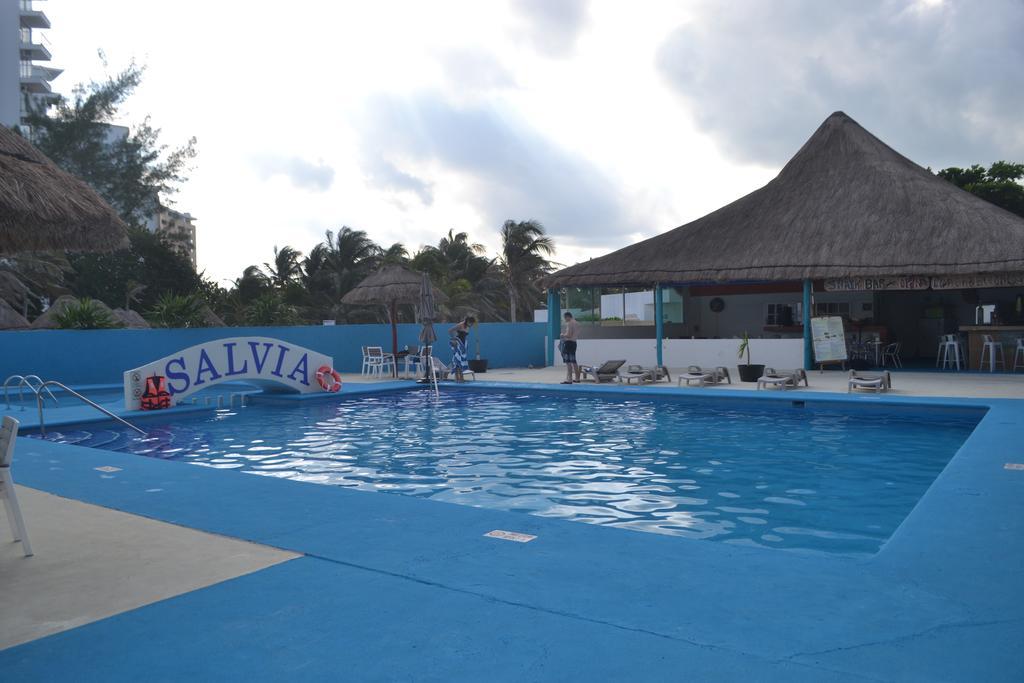 Salvia Cancun