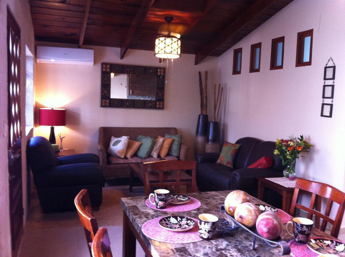 Pecarí 3* Cancún