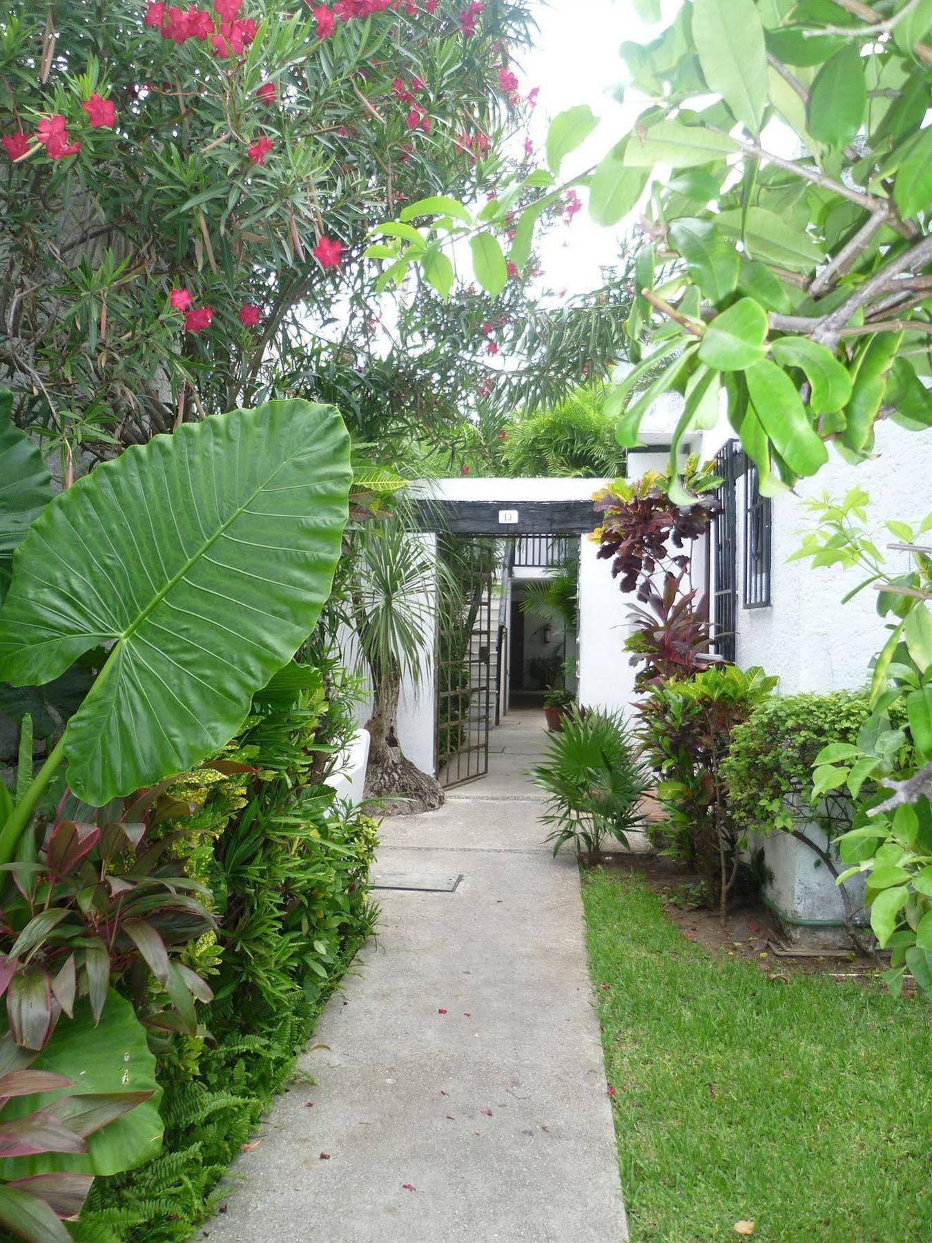 Haina Hostal Cancún