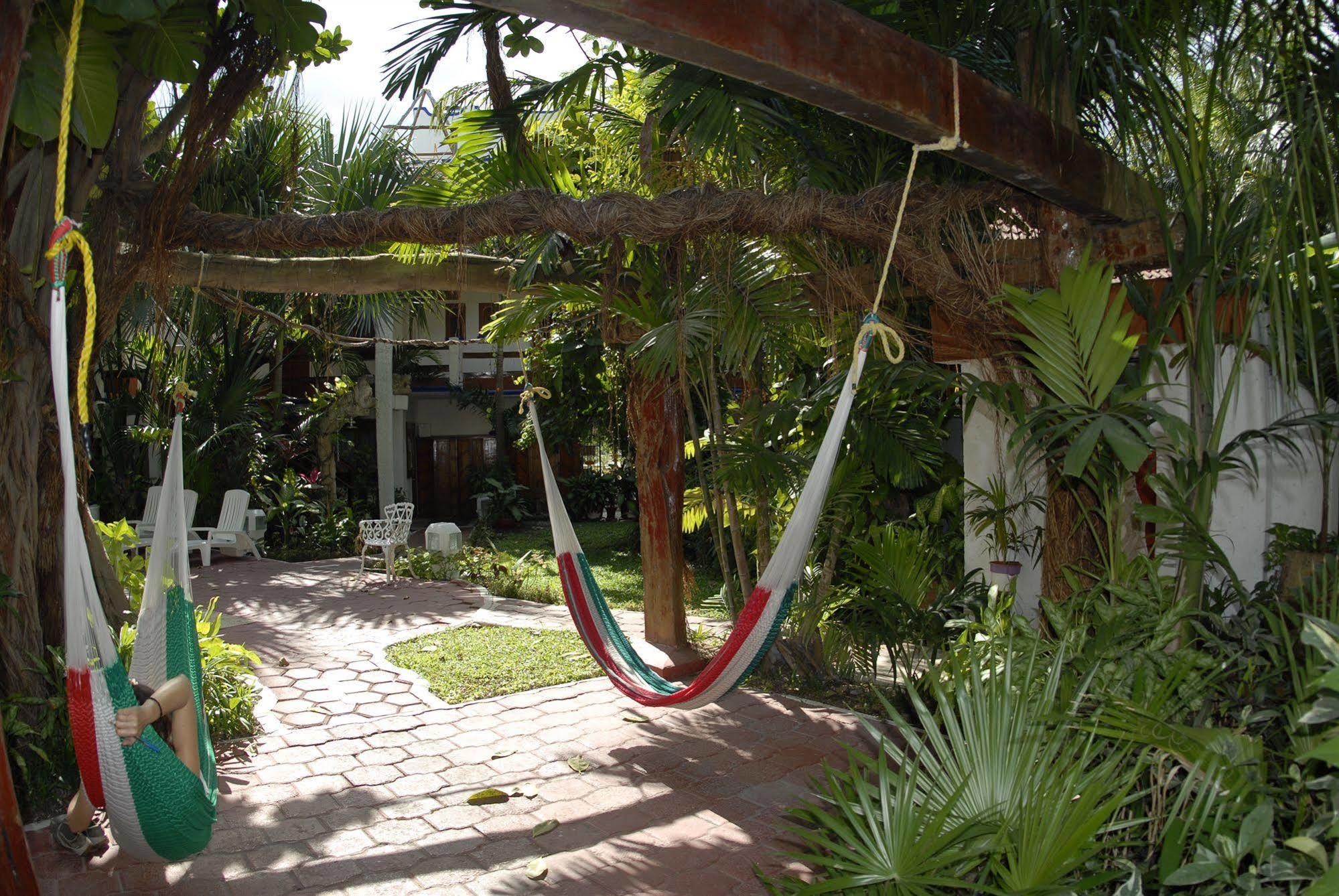 Hotel Eco-hotel El Rey Del Caribe