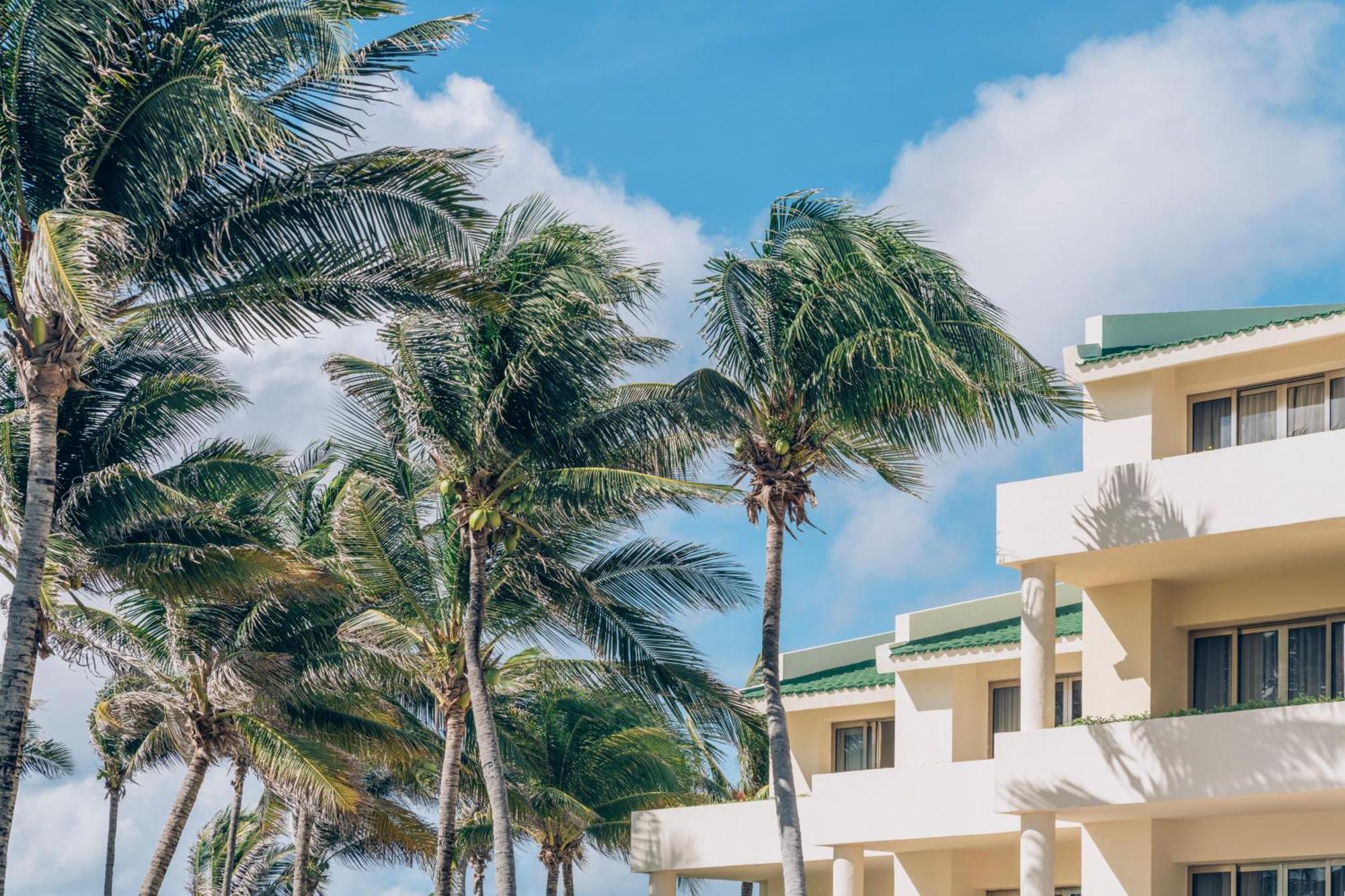 Iberostar Selection (adults Only) Cancun