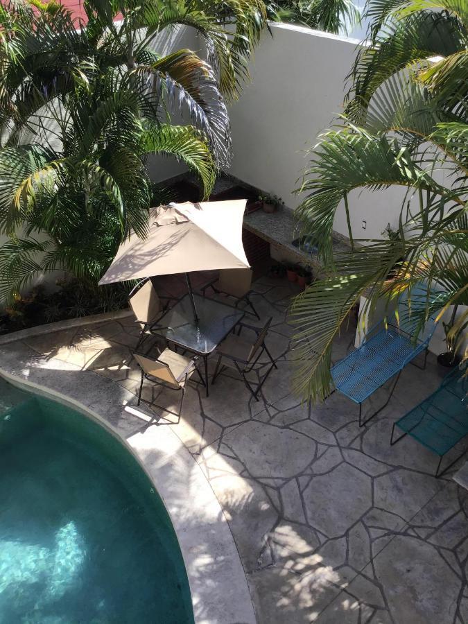 Pecari Cancun