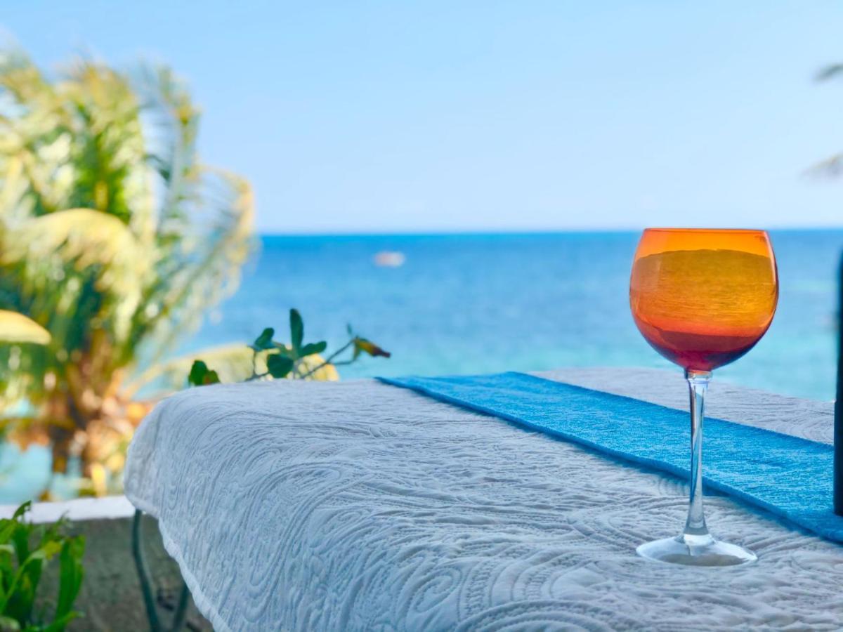 Flamingo Paradise Front By Cielo Maya Cancún