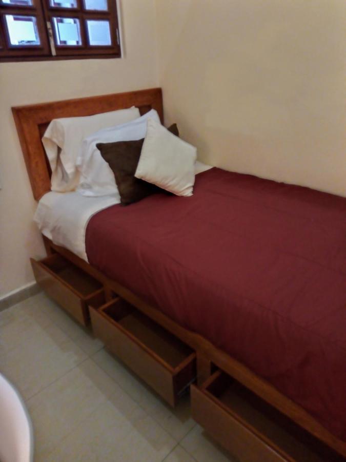 Pecari Cancun