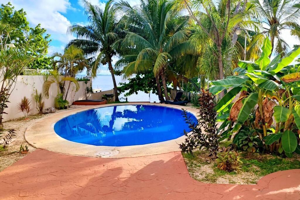 Laguna Cancun, Kayaks Gratis. Cancún