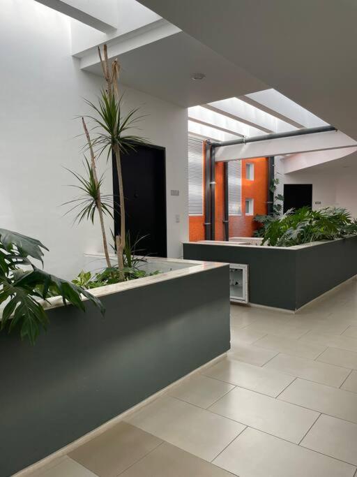 Coco Luxury Loft Apartamento
