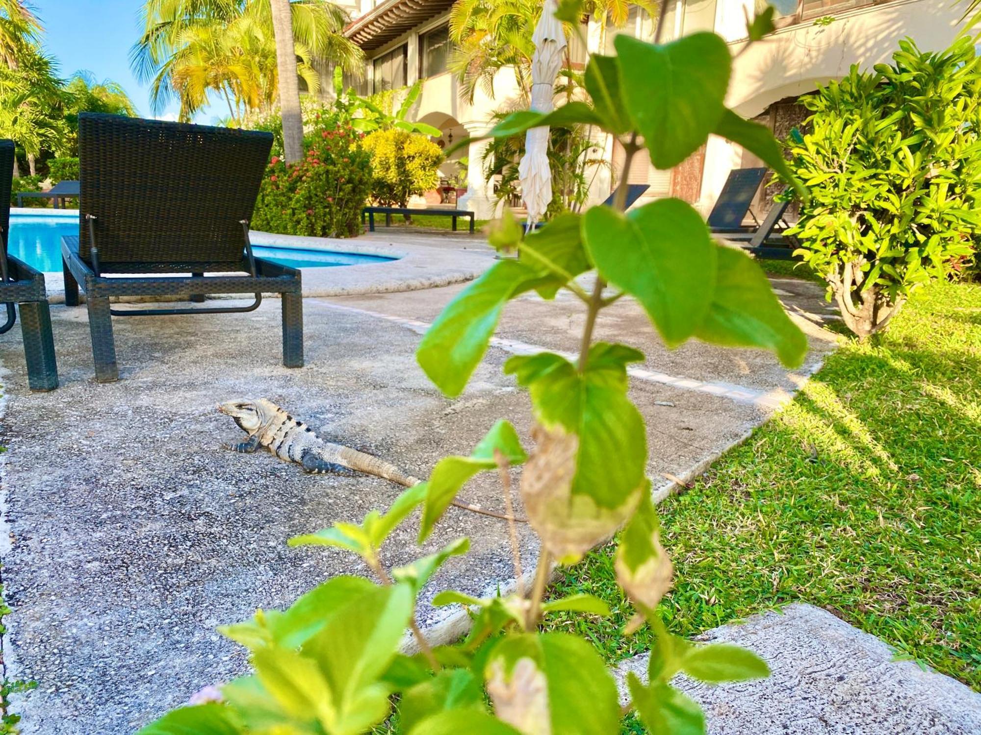 Villa Cascada By Andiani Travel *