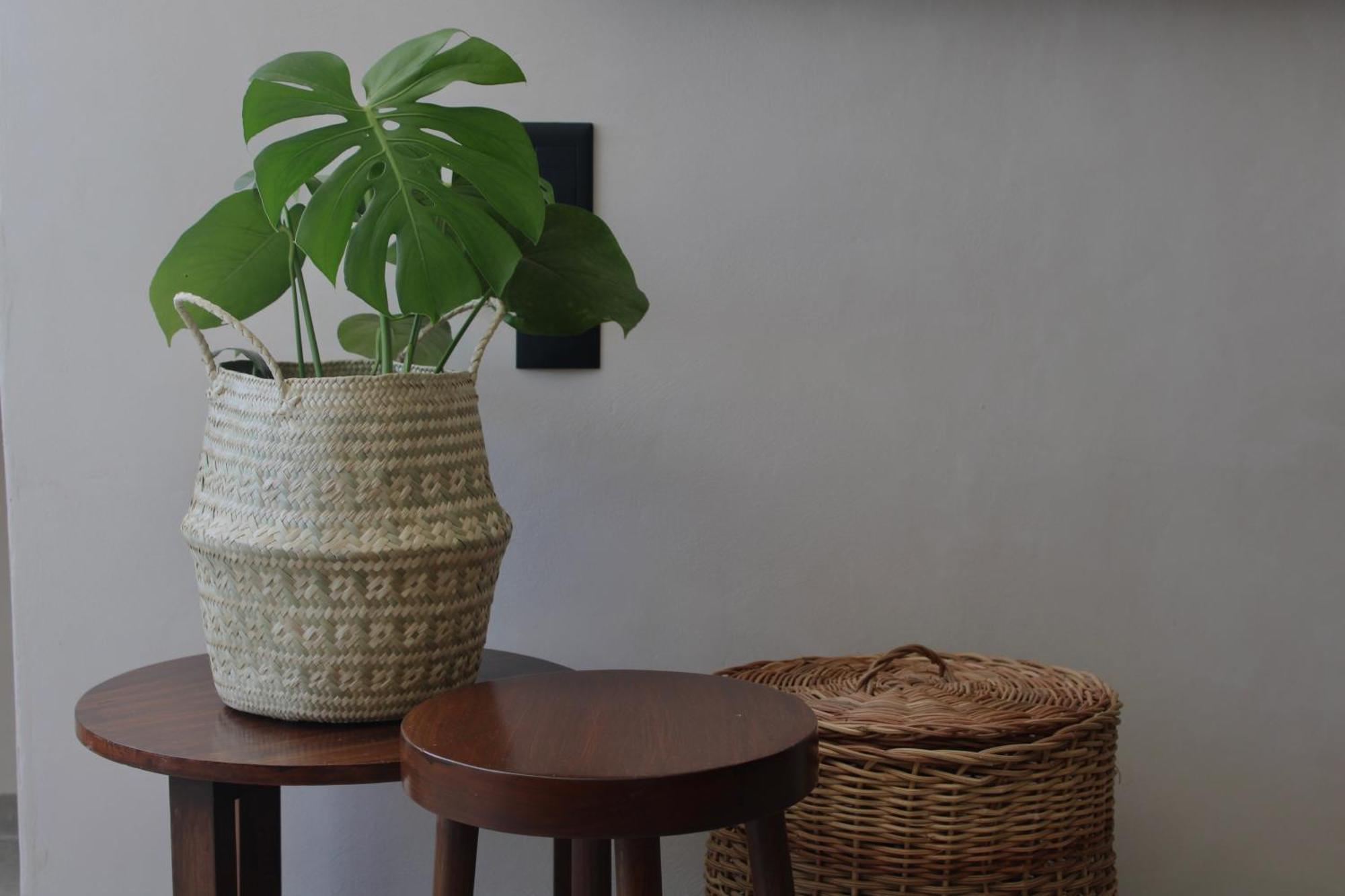 Lua Boutique Apartamento