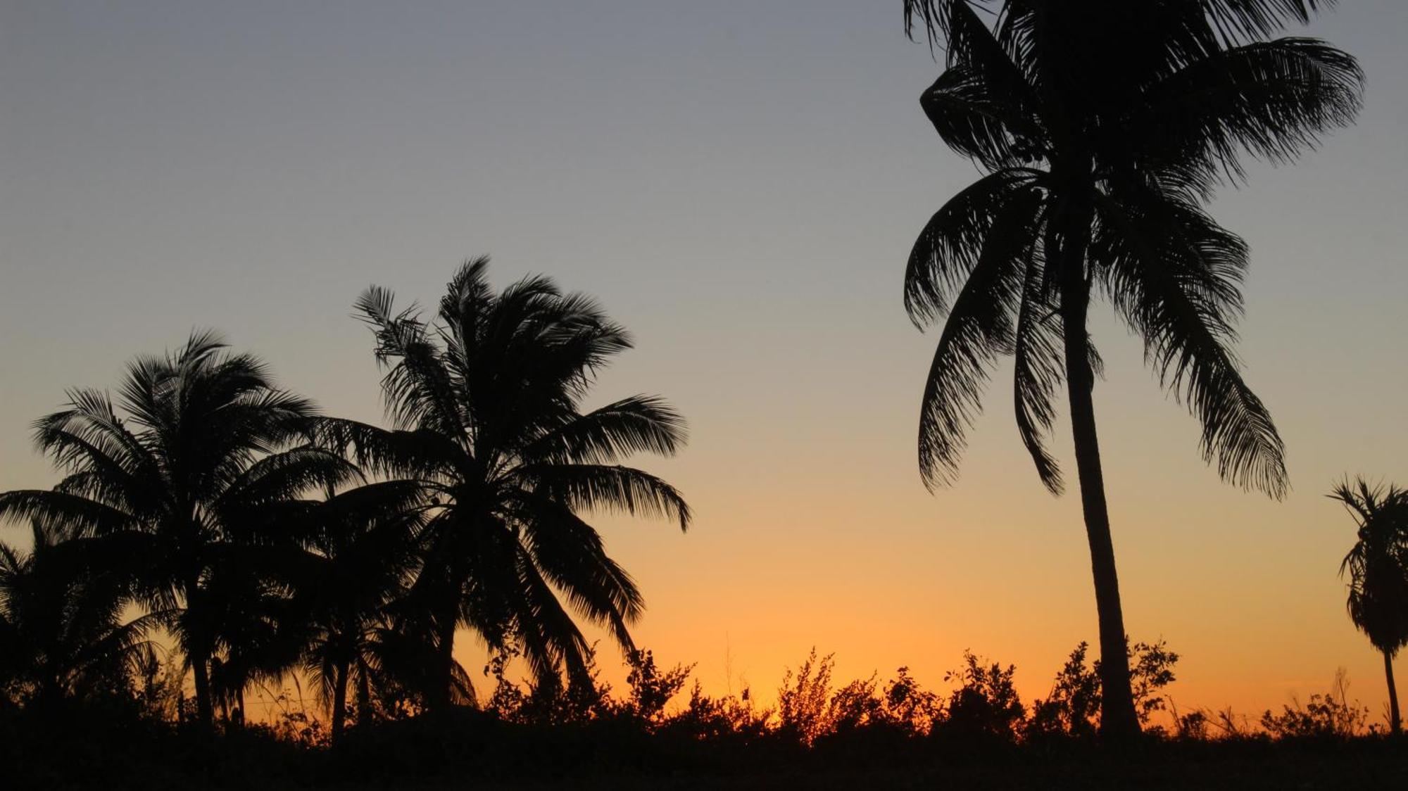 Ikarus Costa Mujeres Eco Sunset View Hotel