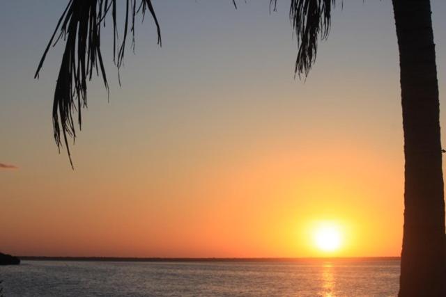 Ikarus Costa Mujeres Eco Sunset View *