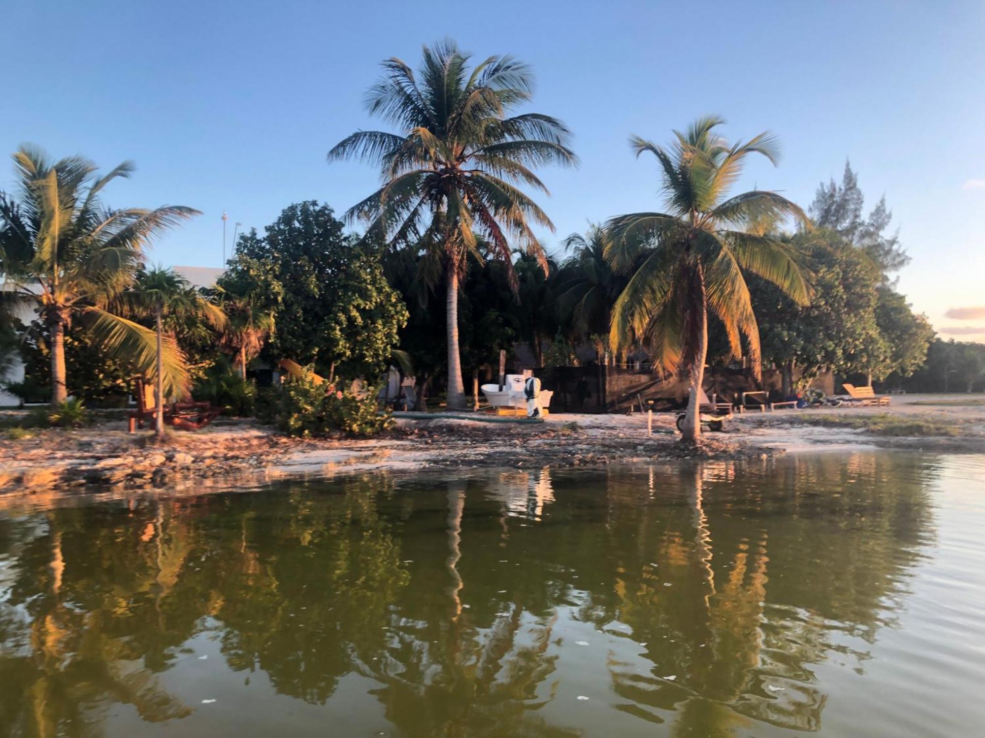 Ikarus Costa Mujeres Eco Sunset View