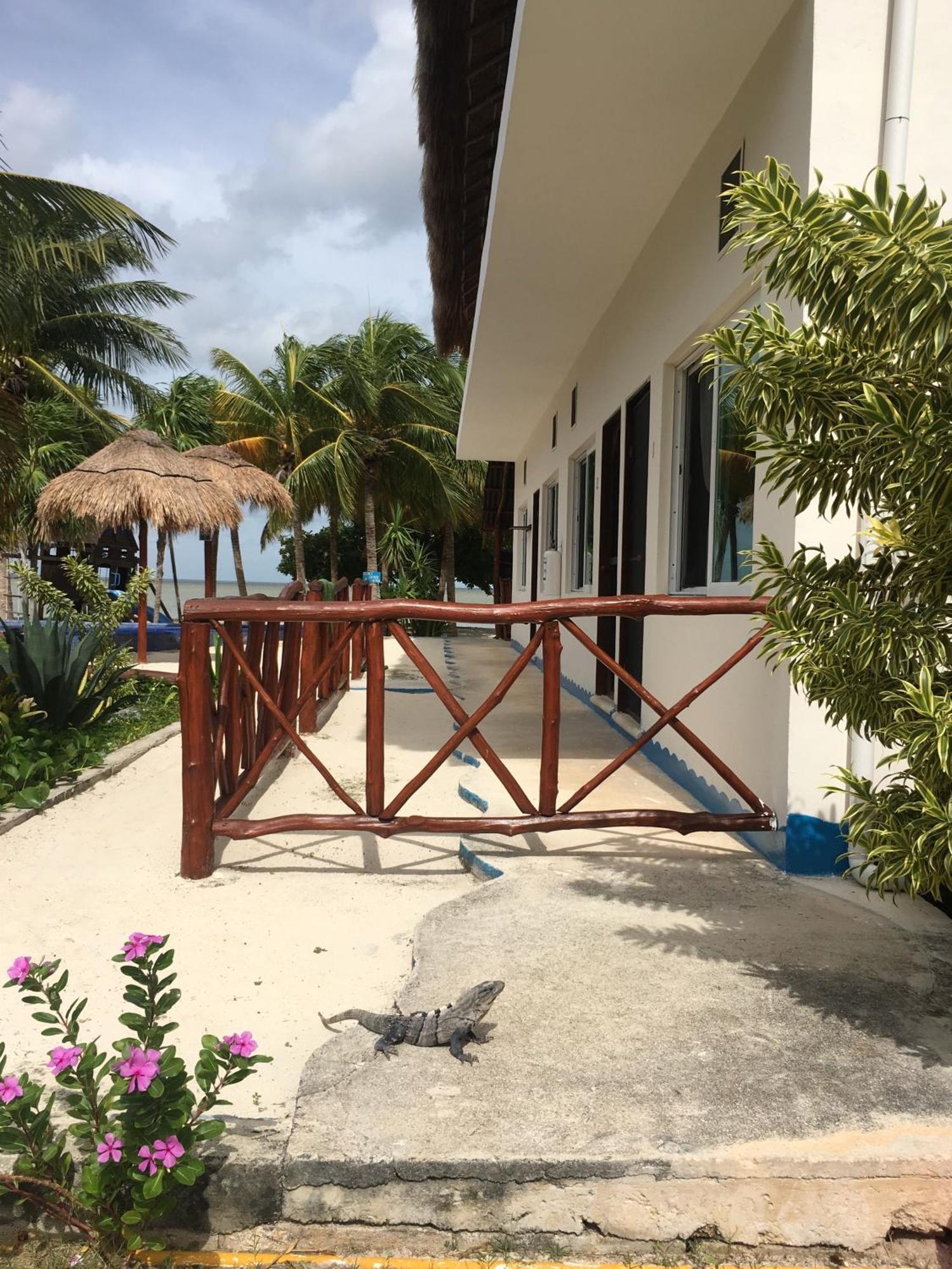 Hotel Ikarus Costa Mujeres Eco Sunset View *