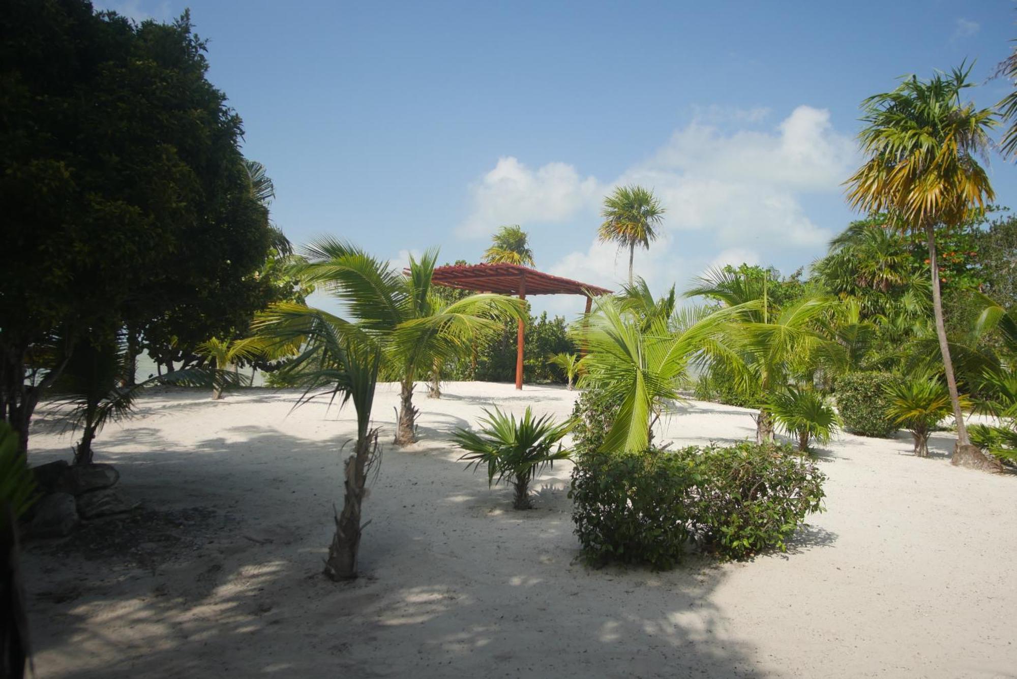 Hotel Ikarus Costa Mujeres Eco Sunset View