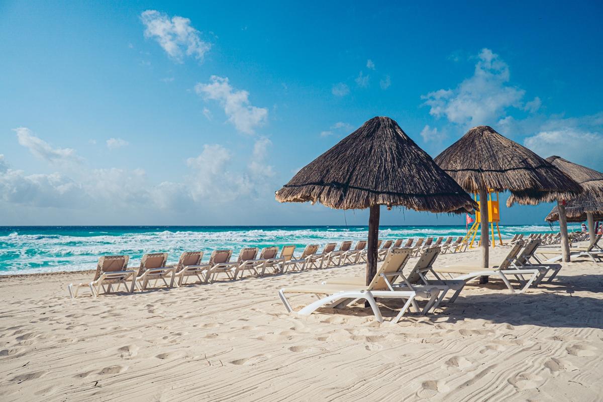 Flamingo Cancún