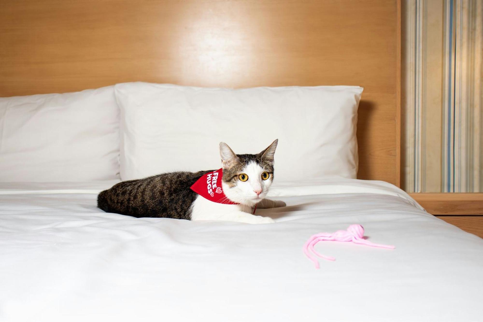 Hotel Four Points By Sheraton Centro 4*