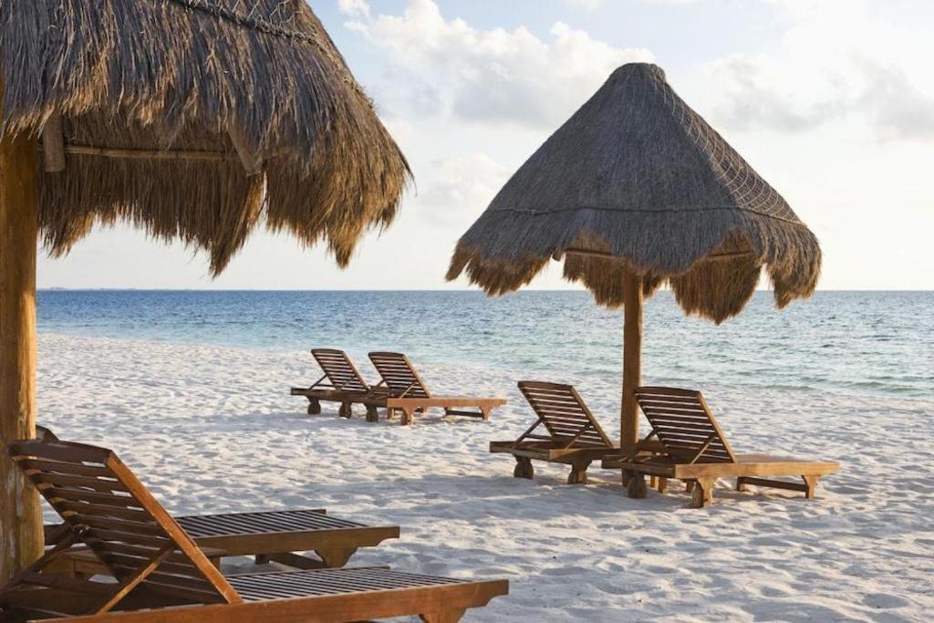 Hotel Excellence Playa Mujeres (adults Only) Cancún