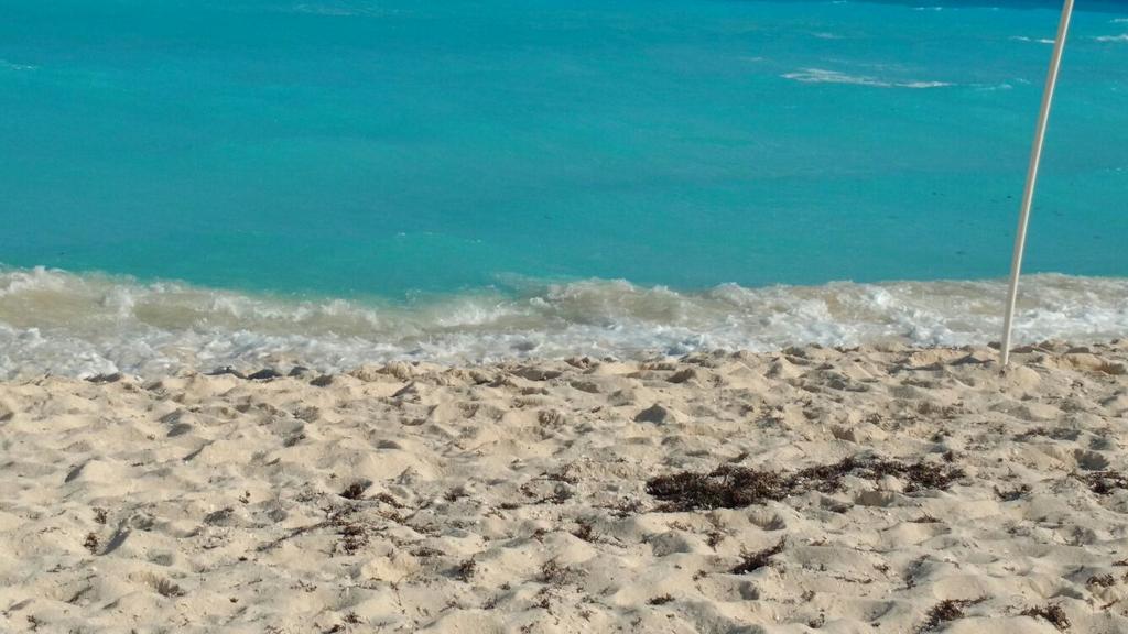 Apartahotel Ocean Front Cancún