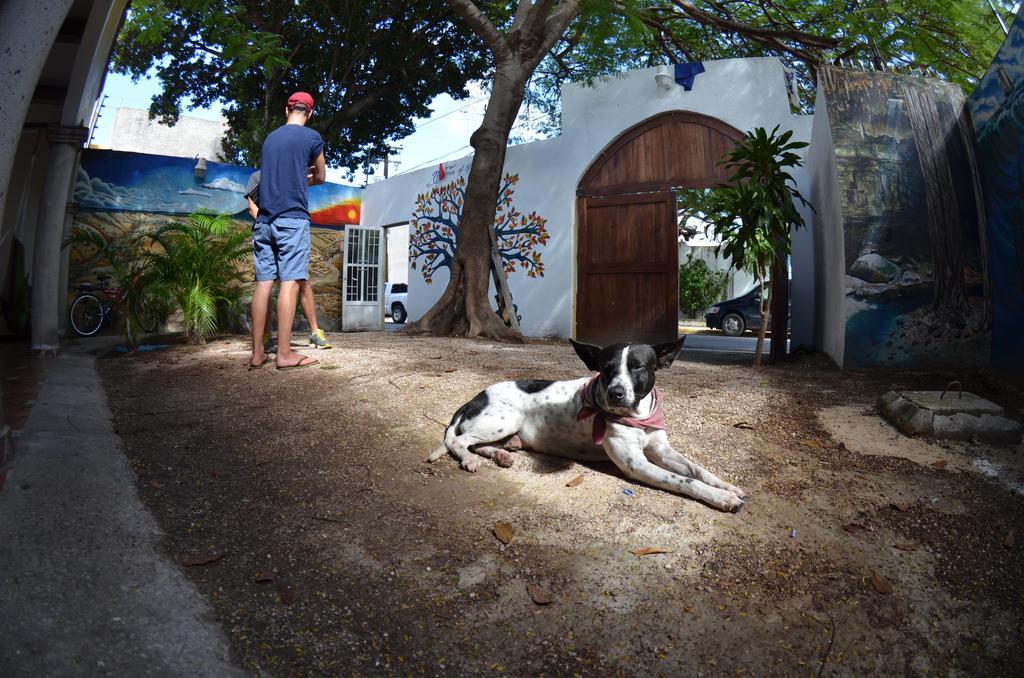 Ka Beh Hostal Cancún