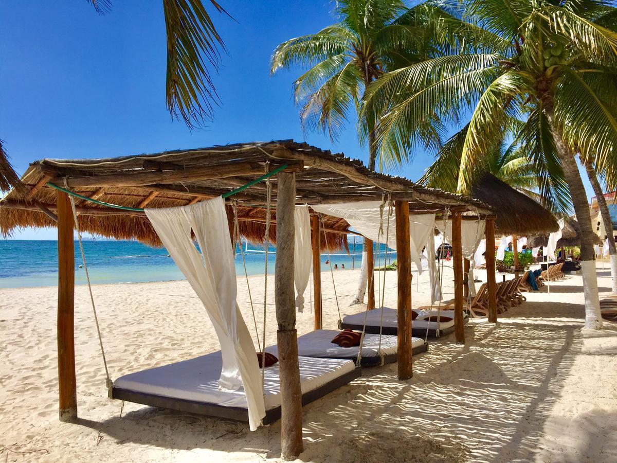 Caribbean Apartamento *