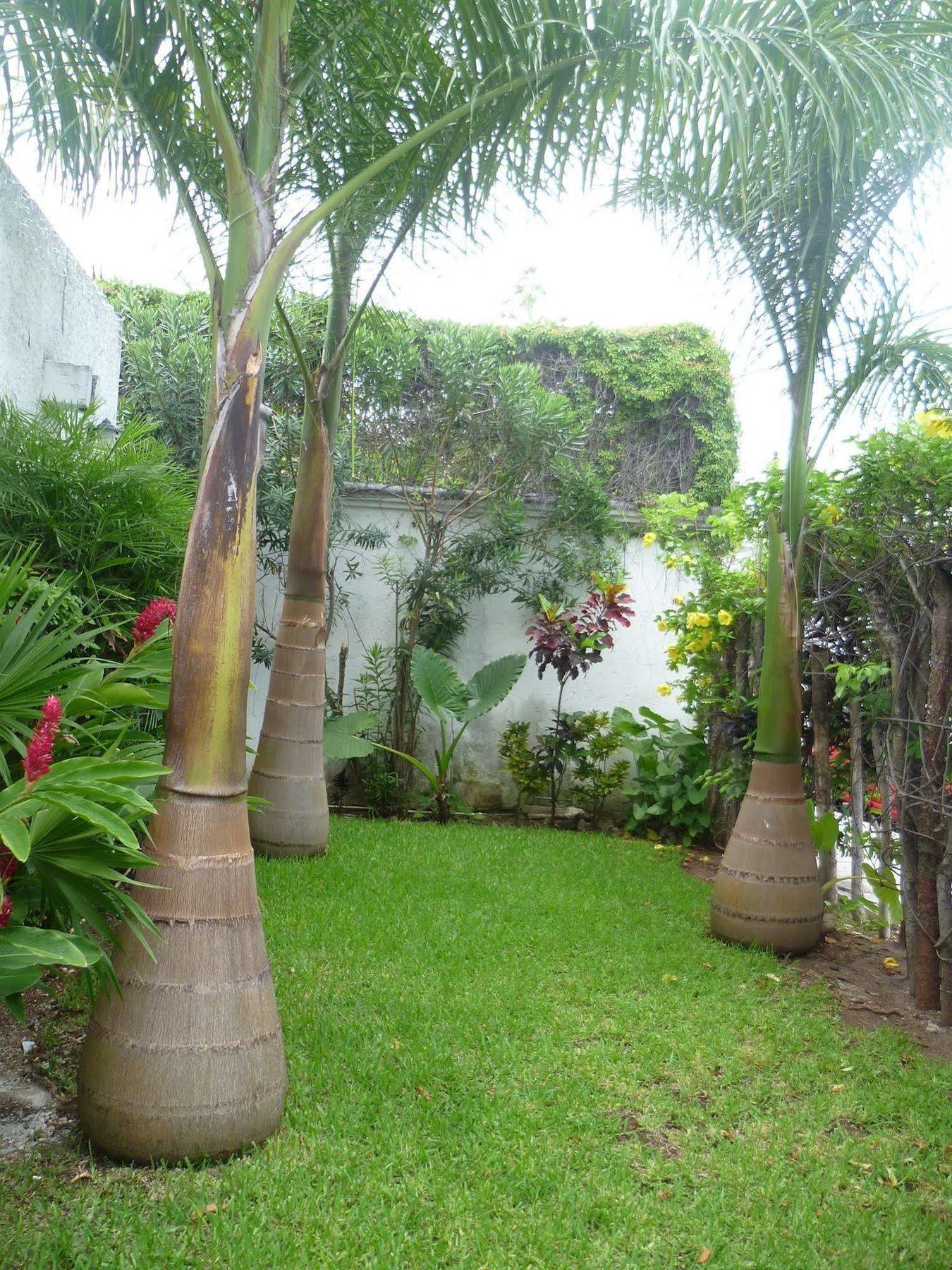 Haina Cancún
