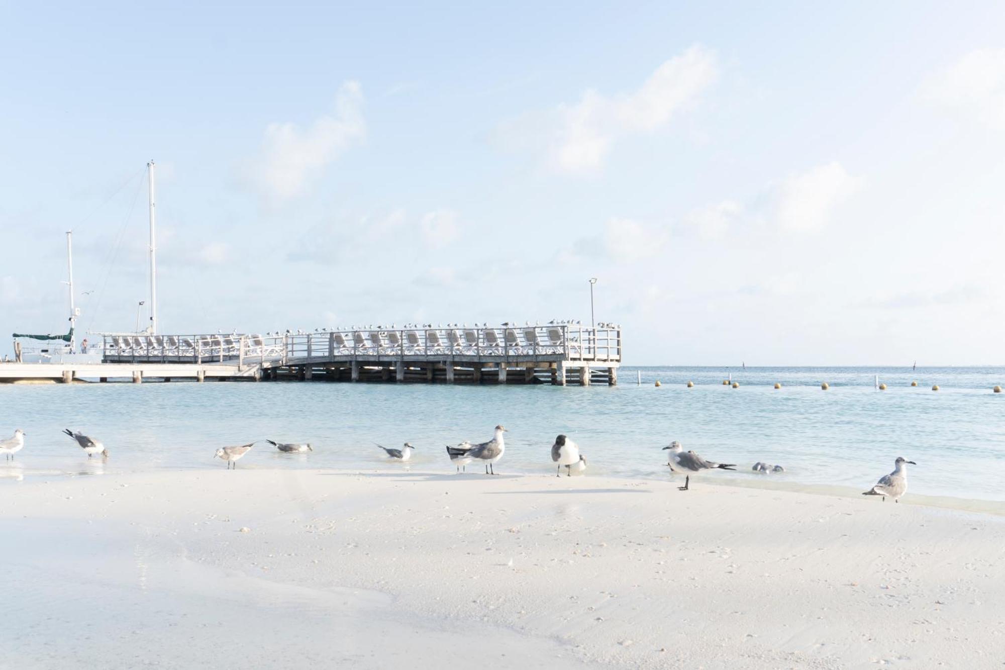 Bay 4* Cancun