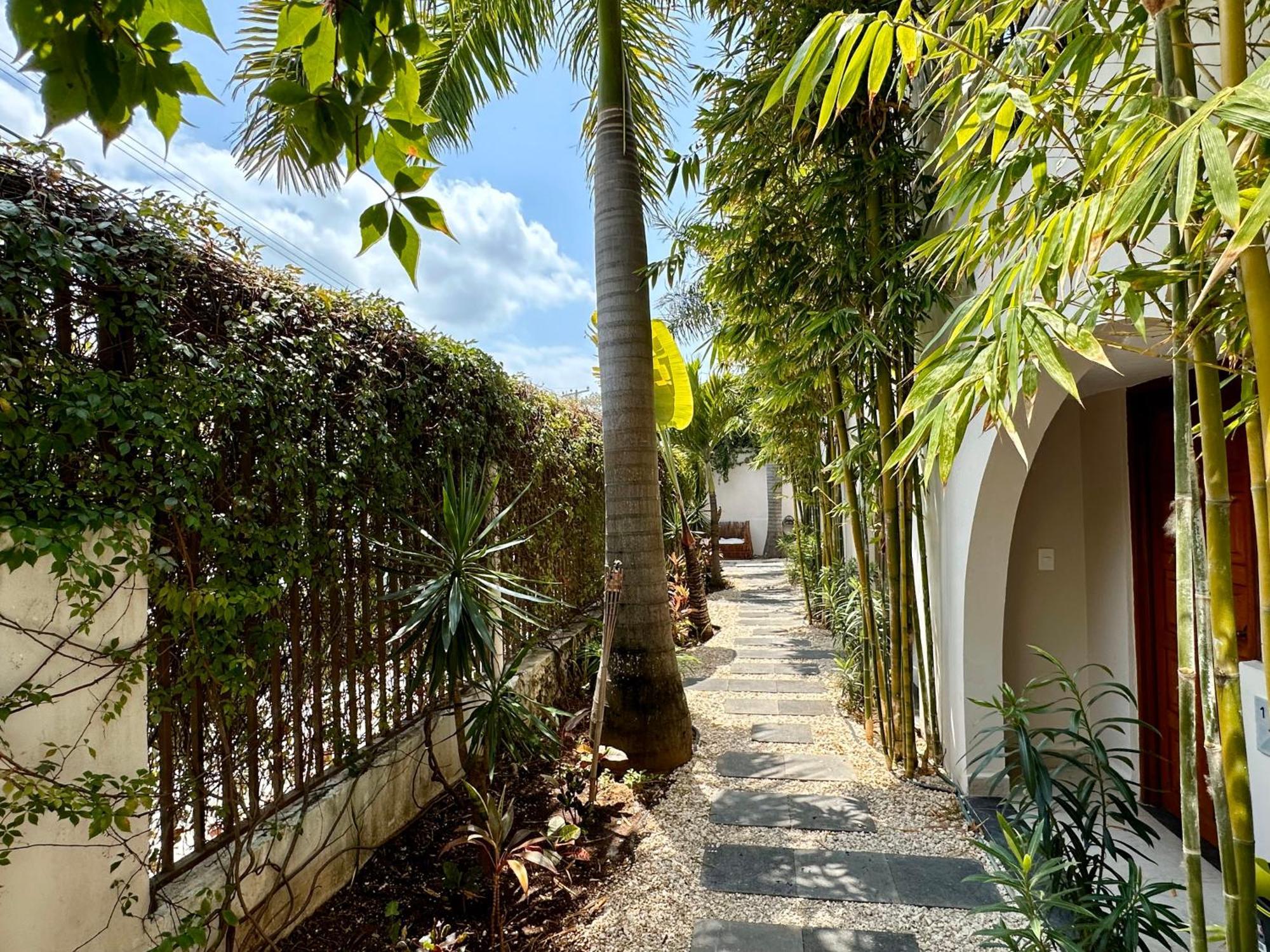 Hotel Pachamaya Holistic Wellness & Cancún