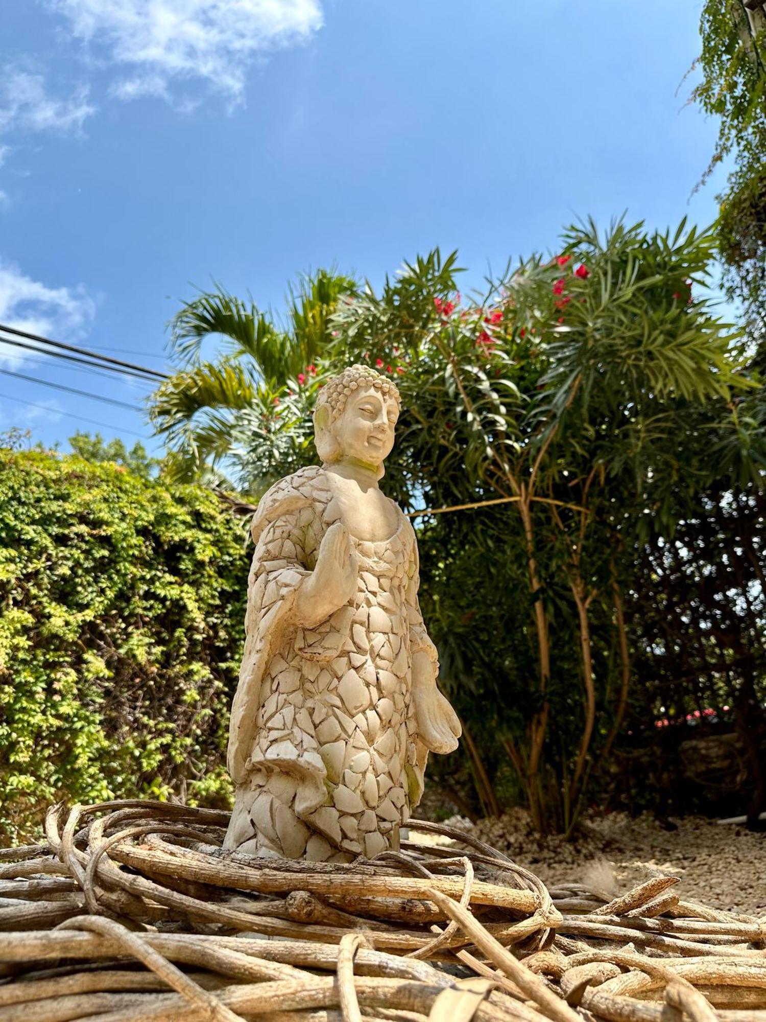 Pachamaya Holistic Wellness & Cancún